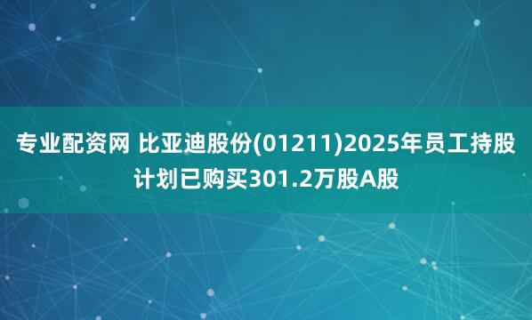 专业配资网 比亚迪股份(01211)2025年员工持股计划已购买301.2万股A股