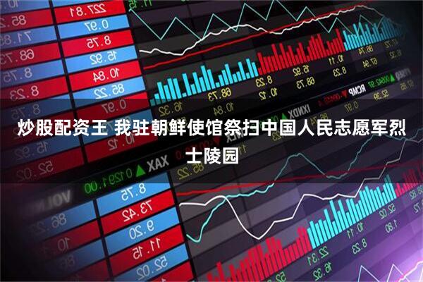 炒股配资王 我驻朝鲜使馆祭扫中国人民志愿军烈士陵园
